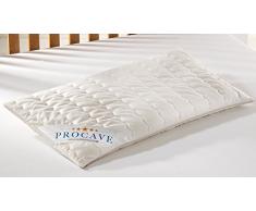 PROCAVE Dinkelkissen 40x80cm, Made in Germany, atmungsaktives Kissen mit Dinkel-Spelz, Körner-Kopf-Kissen mit waschbarem Bezug aus Baumwolle