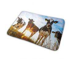 Liz Carter 36X24inch rutschfeste Fußmatten Kuhteppich absorbiert Feuchtigkeit Waschbare Matten Türbodenmatte Bereich Teppich