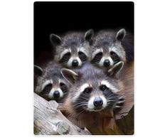 Violetpos Dick Decke Weich Wärme Gemütlich Flanell-Fleece Sofadecke Deckeldecke Nette Graue Waschbär-Tiere 150 x 200 cm