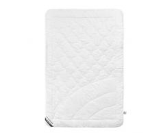 Schiesser 4-Jahreszeitendecke / 2-teilige Bettdecke / 155 cm x 220 cm / Allergiker geeignet / verschiedene Größen erhältlich