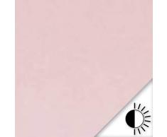 Rollmayer Vorhänge mit Bleistift Kollektion Vivid (Pastellrosa 50, 135x260 cm - BxH) Blickdicht Uni einfarbig Gardinen Schal für Schlafzimmer Kinderzimmer Wohnzimmer