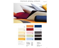 Fleuresse 9200 colours Interlock Jersey Kissenbezug aus 100% Baumwolle, Oekotex Standard 100, 40 x 15 cm, creme