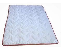 Meisterhome Steppdecke Bettdecke Microfaser Mono (155 x 220 cm)