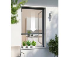 Windhager Insektenschutz Fenster Rollo Plus, Fliegengitter Alurahmen für Fenster, individuell kürzbar, anthrazit, 130 x 160 cm, 03879