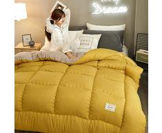 Rouzuofuzhuangdian KüHlende Bettdecke,Pure Color Daunenbettdecken Verdickung Winter Bettdecken Daunenbett Steppdecke King Queen Full Size-Hellgrau_200CM 230CM 3KG