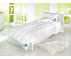 f.a.n. Frankenstolz 53300-10133-19 Leicht-Steppbett / f.a.n. Medisan / 135 x 200 cm