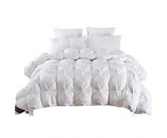 Rouzuofuzhuangdian Daunen Bettdecke,Gans/Entendaunen Steppdecke Duvet King Queen Twin Größe weiß/blau/rosa/braun Winter Decke Tröster Filler40-220 x 240 cm, 4500 g_Weiß