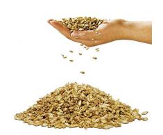 f.a.n. Frankenstolz 03880-11024-19 Dinkelkissen / Medisan Sleep & Care / 040 x 080 cm