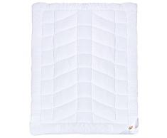 CelinaTex First Class Sommer Bettdecke 200 x 220 cm Steppdecke leicht Sommerdecke atmungsaktiv Bett Decke