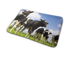 Liz Carter 36X24inch rutschfeste Fußmatten Kuhteppich absorbiert Feuchtigkeit Waschbare Matten Türbodenmatte Bereich Teppich