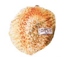 LMXJB 3D-Frucht Drucke Quilt Blanket, Runder Wurf Der Lustigen Nahrungsmittelverpackungsdecke, Summer Lightweight Tröster Waschbar Hypoallergen Mikrofaserbettwäsche Königin,Durian,170×235cm