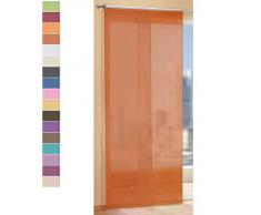 Gardinen Set, 2 x Flächenvorhang Schiebegardine mit Zubehör, Lila