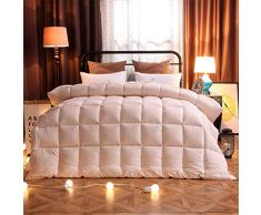 LMXJB 1 Stück Pinke Farbe Bettdecke Decke Tröster Decke Winter Weich Warm Mikrofaser-Gewebe Baumwollbezug Single Königin König Größe Für Hotels,Schule,Villa,King/220X230/3Kg