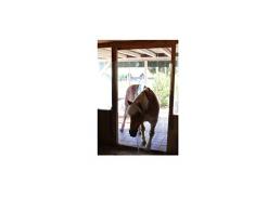 PVC Streifenvorhang, Lamellenvorhang 200x2mm komplett vormontiert, transparent, als optimaler Wetter und Windschutz (Breite 1,00 m x Höhe1,75 m)