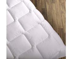 Wendre Premium Bettdecke Flauschige, Weiche & Warme Decke | Ideal für Allergiker | Waschmaschinenfest | Mikrofaser Bezug | 220x240 - XXL King Size | Weiß