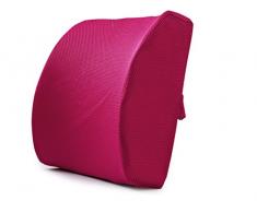 Ammon Lowen Orthopädisches Lendenkissen Rückenkissen Rückenstütze, Lordosenstütze Fernsehkissen, Schaumstoff Lendenwirbelstütze Kissen für Zuhause,Büro, Auto, Reisen TD-899KL (rot)