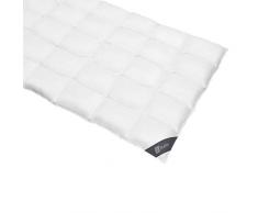 Spessarttraum Bettdecke Platin 155 x 220 / Füllgewicht 730 g - Ganzjahres Daunenbett Bettdecke, Füllung 100% Gänsedaunen