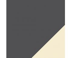 CelinaTex Schneestern Kuscheldecke XXL 200 x 220 cm grau und Creme weiß Coral Fleece TV-Decke Tagesdecke Wohndecke