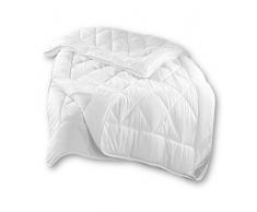 Dreamhome Trennbare Echte 4-Jahreszeiten Bettdecke Steppbett Stepp-Decke Ganz-Jahresdecke mit Druckknöpfen für Sommer und Winter, Größe:240 x 220 cm