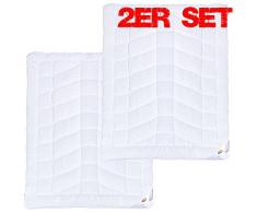 First Class Duo-Bettdecke Doppelpack 155 x 220 cm | warme Mikrofaser Winter-Steppdecke | weiter Decken und Größen wählbar | CelinaTex 6000260