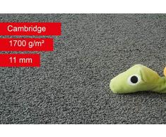 Steffensmeier Teppichboden Cambridge Meterware | Auslegware für Kinderzimmer Wohnzimmer Schlafzimmer | Anthrazit, Größe: 400x350 cm
