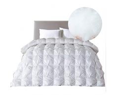 Deluxe 95% Weiße Gänsedaunen Das Ganze Jahr über Tröster Legen Sie Vier Jahreszeiten Duvet Core Daunenbettdecke Queen Oversized Decke,White-200 * 230cm(2.5kg95%)