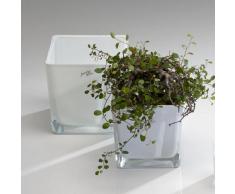 Würfel Glas farbig Blumentopf Übertopf Blumenübertopf weiß 14 cm