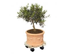 WAGNER Pflanzenroller Country Ø 30 x 8 cm I Pflanzenroller für den Innenbereich, Kastanie I Rutschsicheres Rollbrett I Kübelroller aus Holz I Tragkraft 100 kg I Made in EU - 20018201