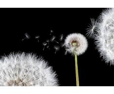 Vlies Fototapeten Fototapete Tapeten Bild Wandbild Tapete PUSTEBLUME 125 VE