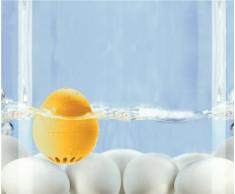 Brainstream Piepei Patriotic USA, Eieruhr zum mitkochen, Spielt 3 Melodien für 3 Härtegrade, A004526