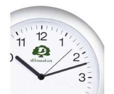 Ultranatura Funk-Wanduhr RC-50 mit DCF-Standard