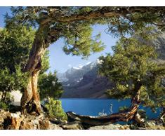 AG Design FTSs 0833 Fototapeten Bildtapete Wall-Mural Photomurals Fluss