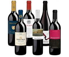 Bio Wein Probierpaket Weinset Rotwein Geschenk Paket Italien Spanien Frankreich Trocken Vegan (6 x 0.75 l)