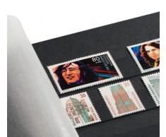 LEUCHTTURM Einsteckbücher Basic | Hochwertiges Briefmarken-Album mit 32 schwarze Seiten |edler unwattierter Einband in Schwarz | DIN A4