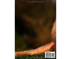 Mein Stickeralbum: Motiv Löwe No. 6 | 30 Seiten | DIN A4 | Blanko | Kein Silikonpapier | Geschenkidee