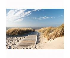 Fototapete Strand Meer 352 x 250 cm Vlies Wand Tapete Wohnzimmer Schlafzimmer Büro Flur Dekoration Wandbilder XXL Moderne Wanddeko - 100% MADE IN GERMANY - Nordsee Ostsee Landschaft Runa Tapeten 9008011b