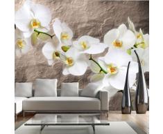 Vlies Fototapete 350x270 cm - TOP - Tapete - Fototapeten - Tapeten - Wandbilder XXL - Blumen 10040906-60