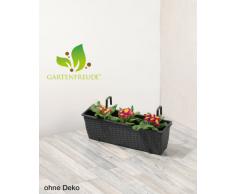 GARTENFREUDE Polyrattan Balkonkasten Blumenkasten inkl. Aufhängung, 50 x 19 x 18 cm, mit Bewässerungssystem, anthrazit