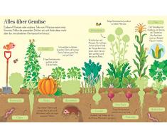 Mein Stickerbuch: Wie wachsen Obst und Gemüse?