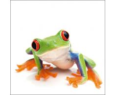 Artland Echt-Glas-Wandbild Deco Glass Sascha Burkard Großaufnahme eines Frosches vor weiß Tiere Wassertiere Frosch Fotografie Weiß