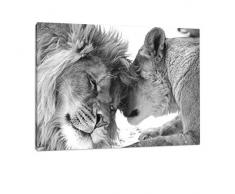 bestforhome - Leinwandbild Schönes bezauberndes kuschelndes Löwenpaar (Löwen) in Afrika in der Savanne! schwarz/weiß auf Leinwand, riesige Bilder fertig gerahmt mit Holzrahmen (120 x 80 cm)