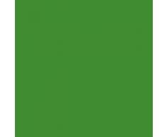 Grandora Wandtattoo Familie - Fotorahmen selbstklebend I grasgrün (BxH) 84 x 49 cm I Aufkleber Sprüche für Wohnzimmer Modern Wandaufkleber W5000