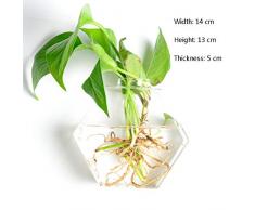 Wandvasen Glas Pflanzgefäße Glasvase hängen Blumentopf Wasser Pflanzen Vase Pflanzenbehälter, für Haus, Garten, Hochzeit oder im Urlaub Dekos