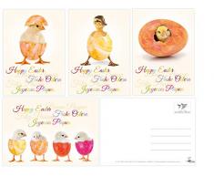 Lustiges Osterkarten-Set mit 12 Osterpostkarten (4 Motive mit je 3 St.), liebevoll gestaltet von EDITION COLIBRI - witzige Grusskarten zu Ostern (11065-11068)