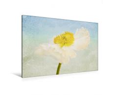 Calvendo Premium Textil-Leinwand 120 cm x 80 cm quer, Summerfeeling | Wandbild, Bild auf Keilrahmen, Fertigbild auf echter Leinwand, Leinwanddruck: Romantisches Blumenbild Natur Natur