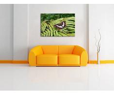 zarter Schmetterling auf Farnblatt auf Leinwand, XXL riesige Bilder fertig gerahmt mit Keilrahmen, Kunstdruck auf Wandbild mit Rahmen, günstiger als Gemälde oder Ölbild, kein Poster oder Plakat