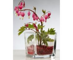 Glasvase CUBE Glasvase Teelichtglas Windlicht Vase Glas Würfel, Ø 12 cm