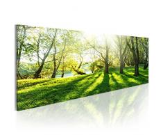 murando - Bilder Landschaft 135x45 cm Vlies Leinwandbild 1 TLG Kunstdruck modern Wandbilder XXL Wanddekoration Design Wand Bild - Natur Bäume Park c-B-0053-b-a