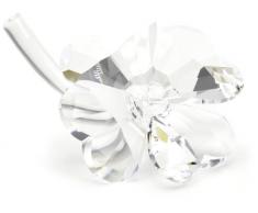 Swarovski Kristallfiguren Gluecksklee 212101