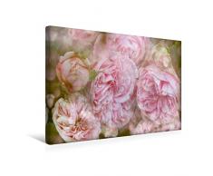 Premium Textil-Leinwand 45 x 30 cm Quer-Format Verlangen - Rosen Romantik | Wandbild, HD-Bild auf Keilrahmen, Fertigbild auf hochwertigem Vlies, Leinwanddruck von Martina Cross